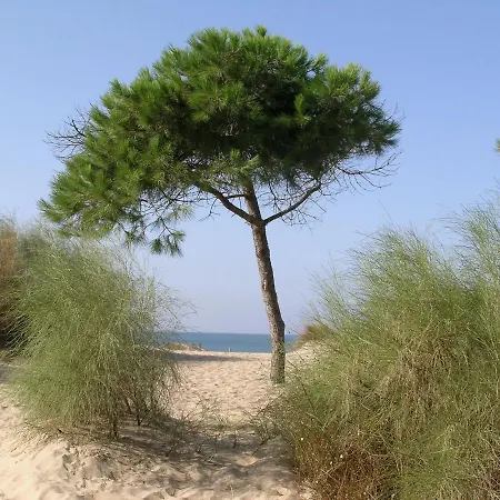 Relax, Playa, Naturaleza…!!. Independiente Con Jardin... * Islantilla